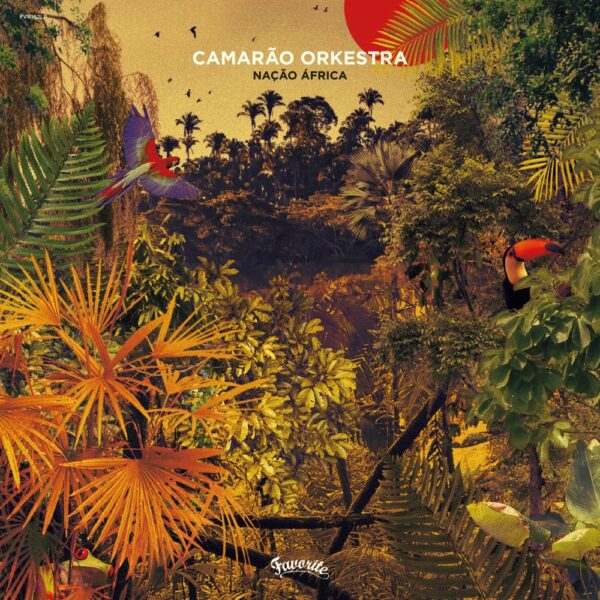 Camarão Orkestra – Nação África (LP)